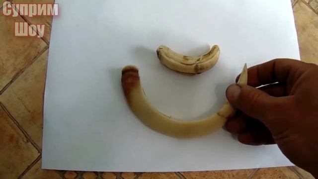 ДИКИЙ КАБАН СЕКАЧ ПРОТИВ Собак Волков и других хищников