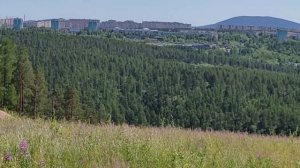 Саха Якутия город Нерюнгри. Вид с высоты горнолыжной базы. Лето цветущее в Якутии