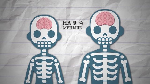 13 Необычных Фактов о Женщинах, Которые Являются Чистой Правдой смотреть онлайн