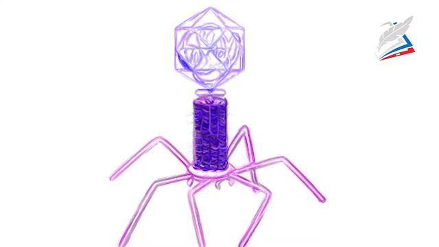 Микроорганизмы и технологии их искусственного разведения смотреть онлайн