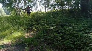 Самый лучший день заходил вчера