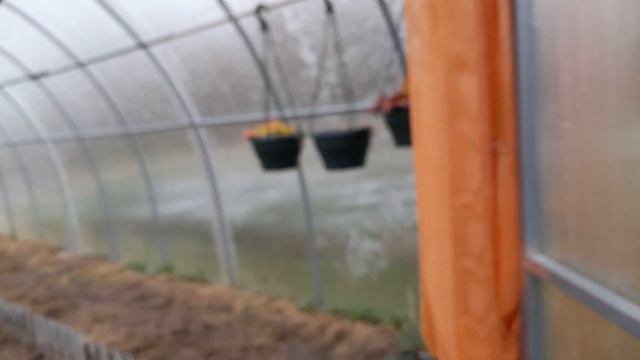 отчитываюсь , подготовка теплицы и печки смотреть онлайн