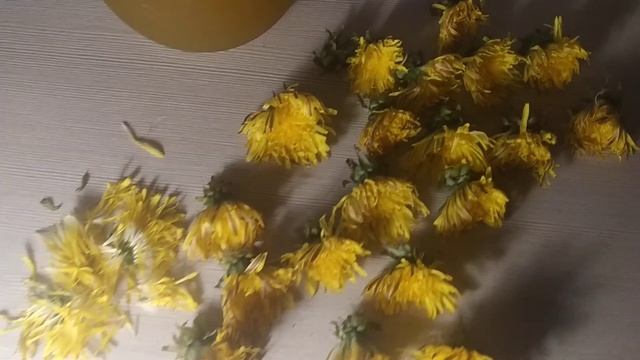 Одуванчиковый мёд.Полезный,не варим и без сахара. смотреть онлайн
