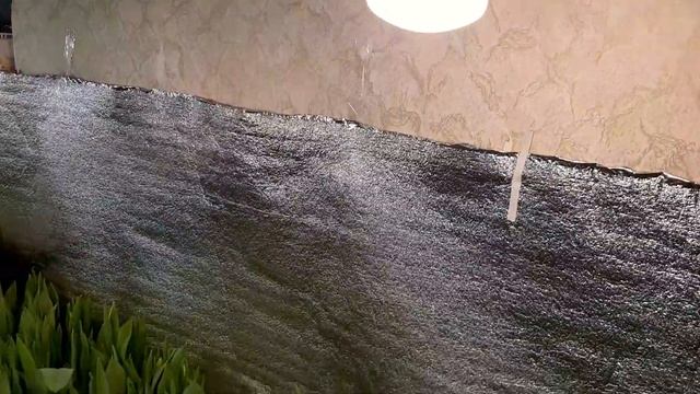 Повышение температуры и притенение, инструменты коректировки выгонки тюльпана. Хранение после срезк смотреть онлайн