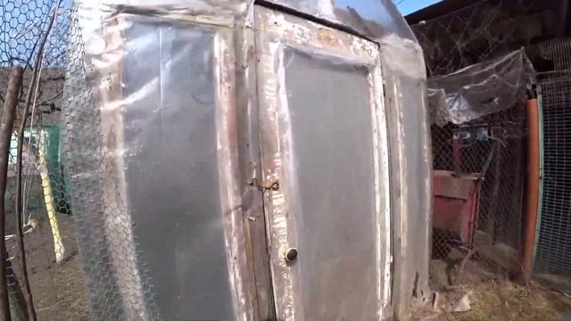 ОГОРОД ПЕРВЫЕ ВСХОДЫ. Куры кохинхин смотреть онлайн
