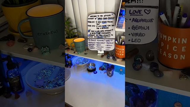 Bonus Reading!! ✨ARIES-PISCES?✨ TikTok Recap 11.3.2023 | #oraclegangbaddie #zodiacreading #allsigns смотреть онлайн