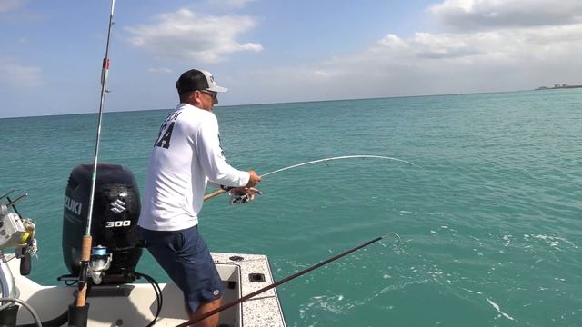 BlackTip SHARK + Pompano {Catch Clean Cook} Epic Birthday Party Taste Test! смотреть онлайн