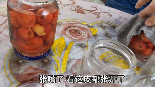 娘四个做罐头准备过年吃，晚饭吃老妈做的手擀面，两锅面条造溜光 смотреть онлайн