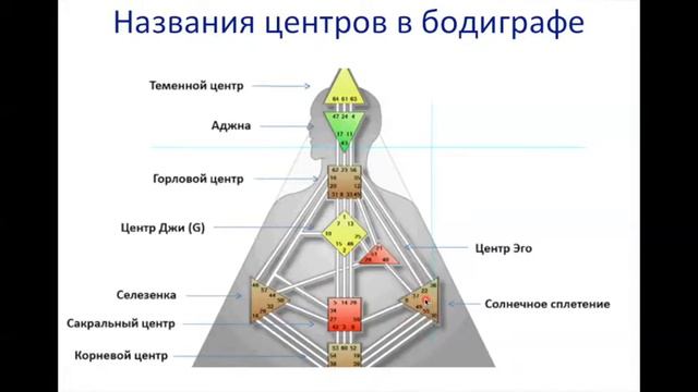 Центры в бодиграфе: название и основные значения смотреть онлайн
