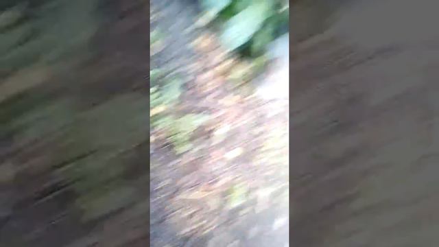 В деревне смотреть онлайн
