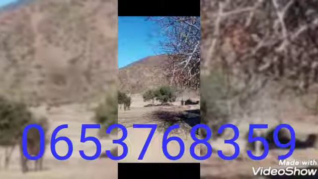 الوتسابttps://api.whatsapp.com/send?phone=+2120619182360 смотреть онлайн