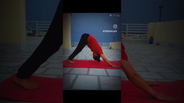 YOGA TEACHES U ,HOW TO LISTEN TO UR BODY смотреть онлайн