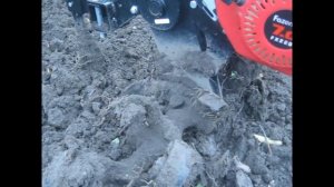 Мотоблок Fazenda 3/1 , работа фрезой по сырой почве.