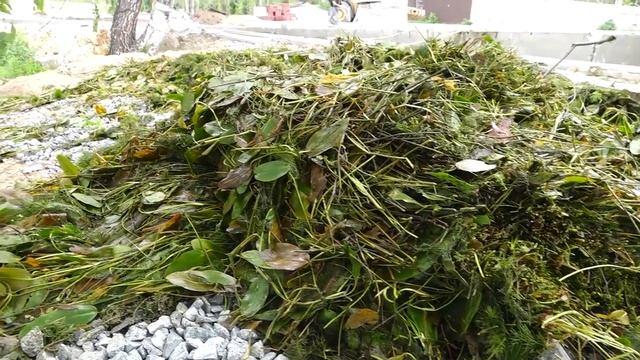 Уборка водорослей смотреть онлайн