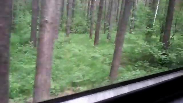 Тепловоз ТУ7А- 3339 с поездом''Юность'' #606. Перегон Спортивная-Зоопарк. (16+) смотреть онлайн