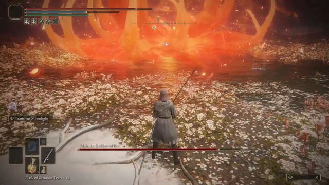 xenaye : Melina cosplay vs Malenia 1v1 NG+1 (Moonveil +10) смотреть онлайн