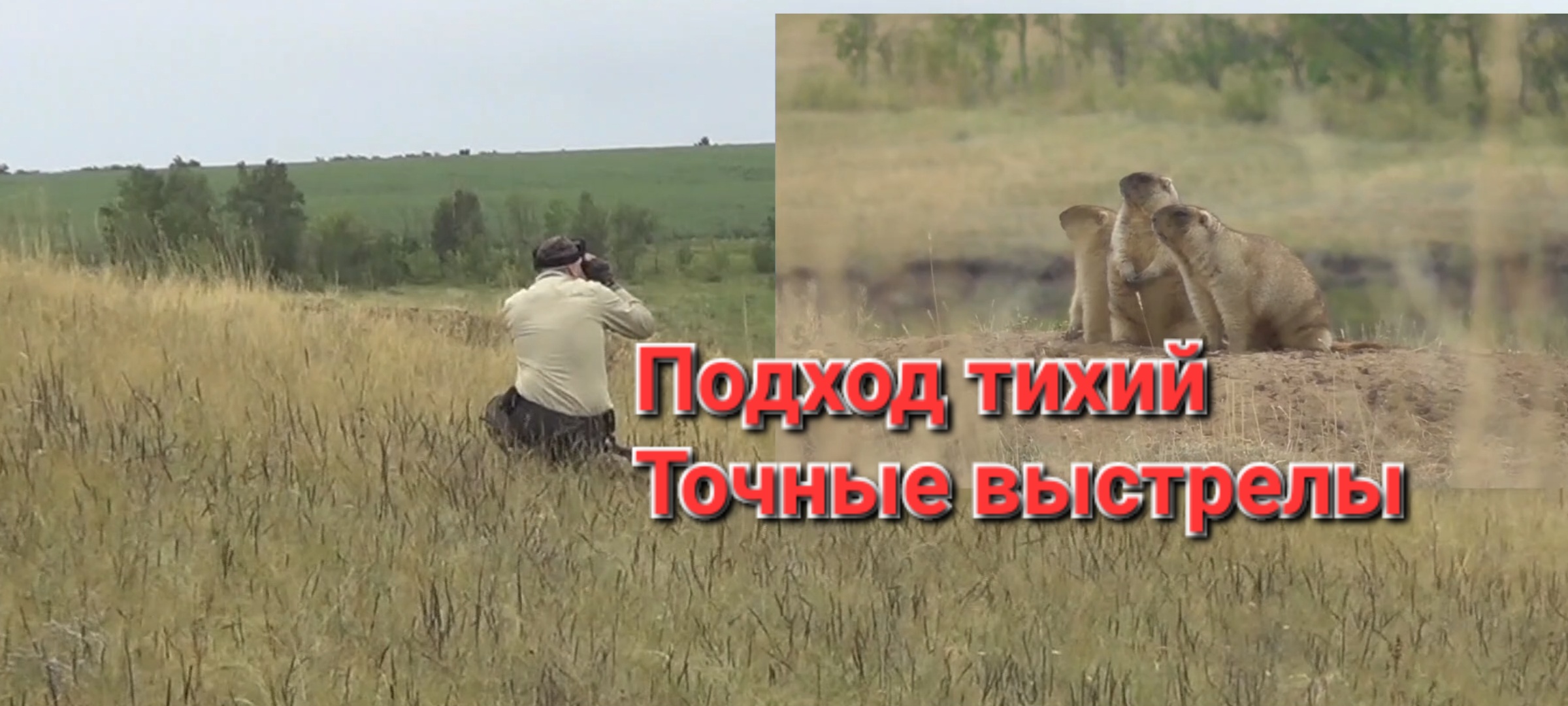 Охота сурок байбак. Точные выстрелы 2023 смотреть онлайн