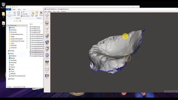 How to Export Color PLY Files from 3Shape Trios