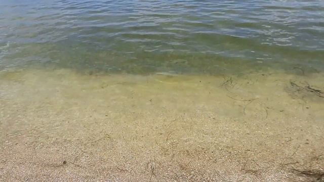 Тилигульский лиман как альтернатива морю летом 2023. Вода в лимане, обзор пляжа устричной фермы.