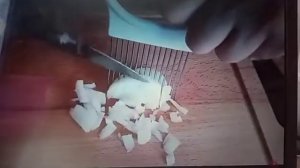 Плододержатель