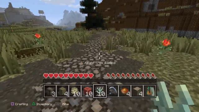 Minecraft: Skyrim Mod