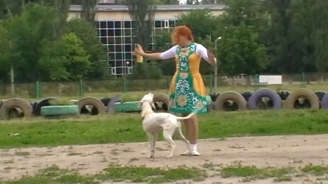 Чемпионат ЮФО по фристайлу. Ростов-2009. 1 место. Кадриль смотреть онлайн