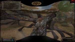 Stalker.ОП-2 ТАЙНА СОСНОДУБА