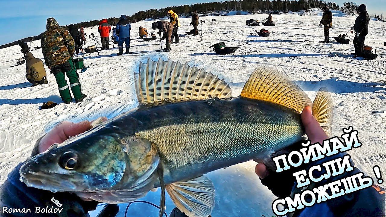 Рыбалка ЖЕСТЬ!!! Как ТОЛПА не дает ловить Судака на Волге?! Весенняя рыбалка 2024. смотреть онлайн