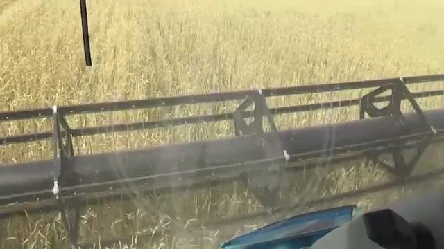 Как проходит уборочная в районе Б.Майлина смотреть онлайн