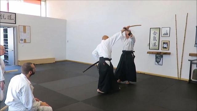 17 Toho Iaido Gyakuhanmi ura Ikkyo TI