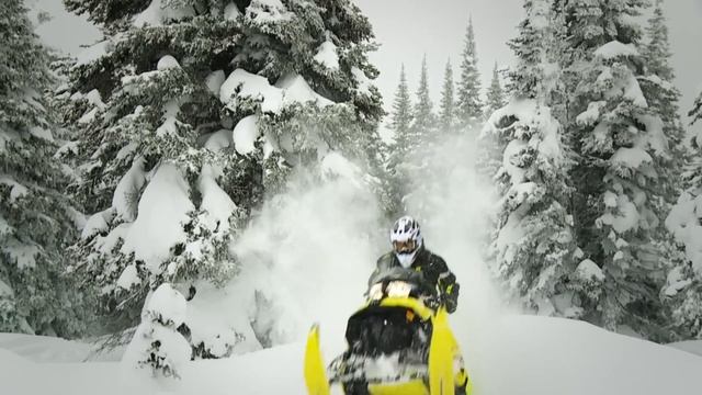 2015 Ski-Doo Summit X 800 T3 174 смотреть онлайн