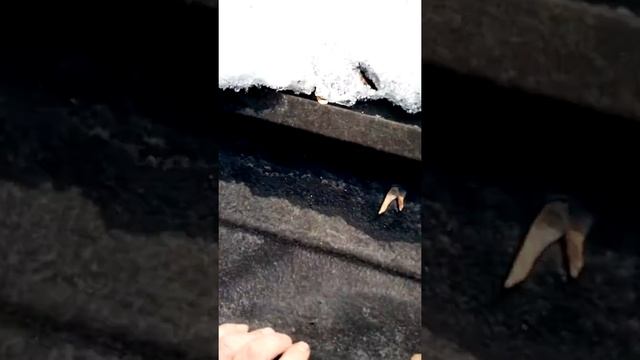 Жидкая резина на кровле после зимы смотреть онлайн