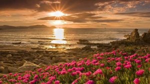 Цыганские песни❤️🐻😻 Лезгин белаш час настал ✨🖤🥀