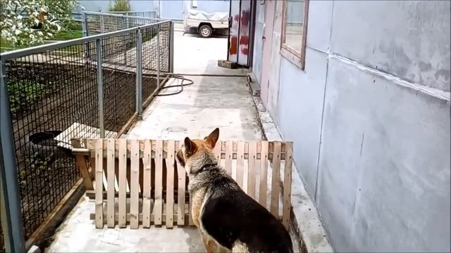 Мини кросс-кантри с Радой))) Милая треня=) смотреть онлайн