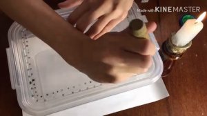 Аргентинские тараканы, уход и содержание, делаем террариум для тараканов