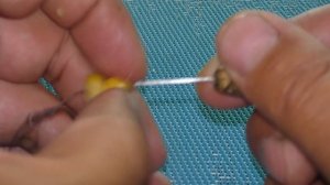 Уловистая насадка - "плавающая кукуруза".  Как сделать?  My fishing.