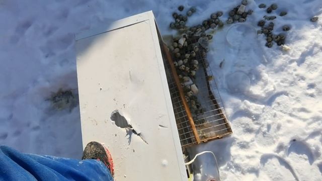 23 февраля мужики с праздником! Норма парка с10, разхренячил это гавно! смотреть онлайн