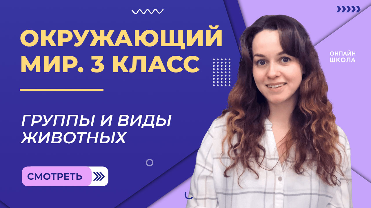 Группы и виды животных. Видеоурок 13.Окружающий мир 3 класс смотреть онлайн