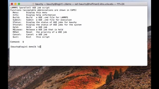 Linux terminal and job submission with Univa Grid Engine смотреть онлайн
