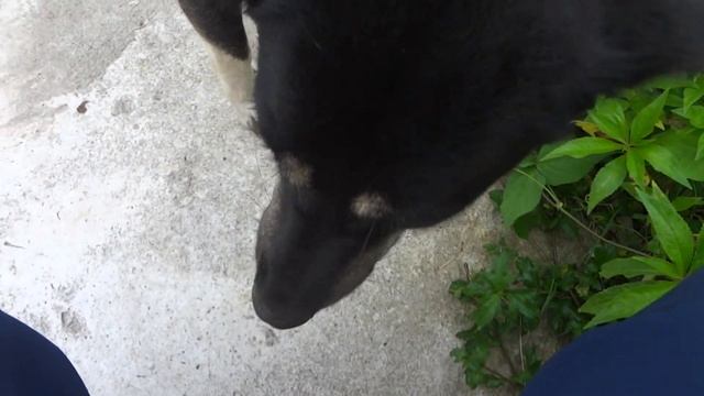 ทดสอบกล้อง Sony WX 30 смотреть онлайн