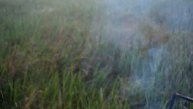 ЗАВТРАК НА ПРИРОДЕ | ЯИЧНИЦА НА КОСТРЕ | ШАШЛЫК ИЗ КУРИЦЫ #шашлык #салат #яичница #природа #горы смотреть онлайн