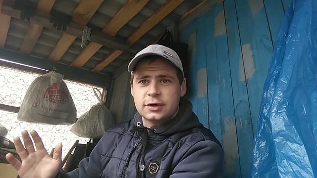 все мы любим деньги !!!!!!!!!!!!!!!!!!! смотреть онлайн