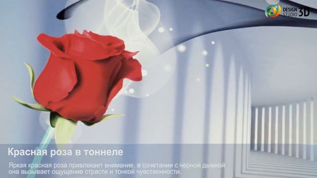 3D фотообои 'Красная роза в тоннеле' смотреть онлайн