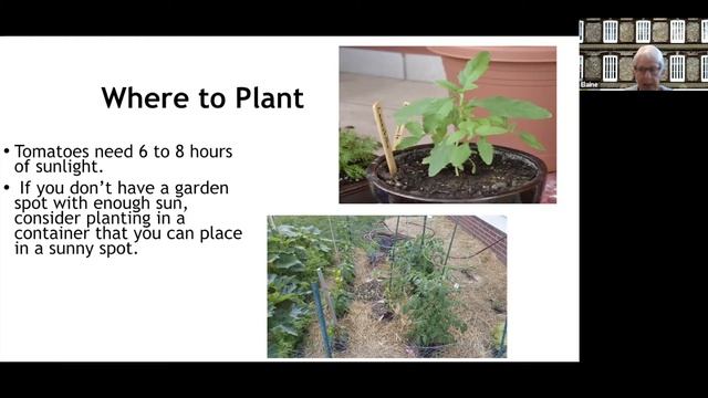 April Veggie Happenings смотреть онлайн