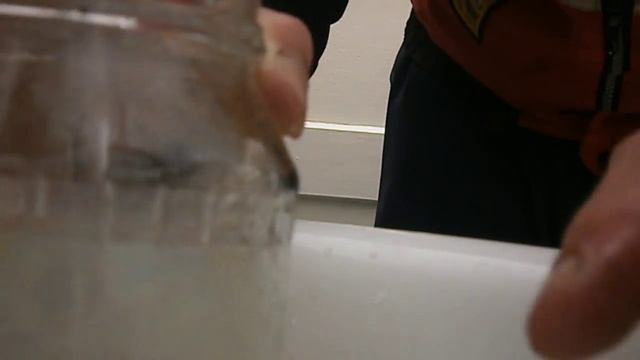 Ловля живого корма для рыбок(циклоп и дафния в пруду) смотреть онлайн