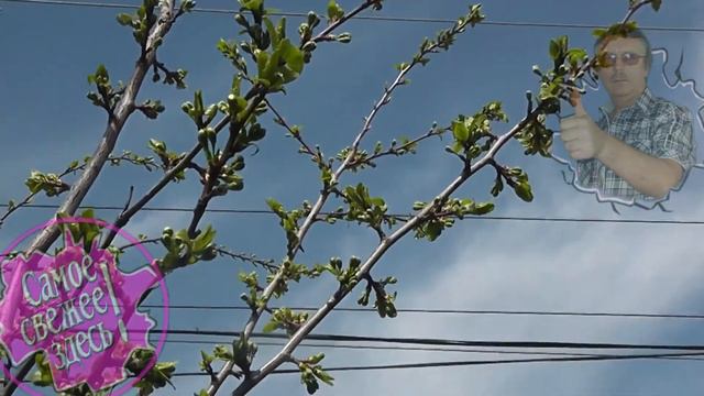 Весна в цвету или Жизнь продолжается смотреть онлайн