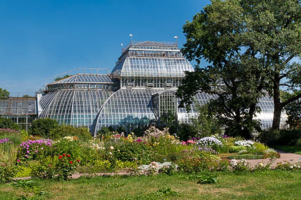 Ботанический сад Петра Великого в Санкт-Петербурге смотреть онлайн