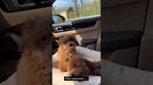 Алексей Жидковский - Инстаграм истории 23.04 и 24.04.2023  @zhidkovskiy