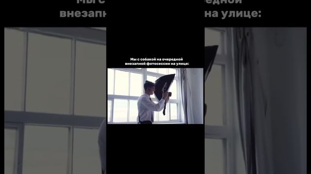 На лабрадоре стильное худи с классным принтом от @salop_dog ?