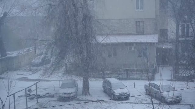 It snowed briefly on February 14, 2021, Chișinău (Moldova), 04-06Tiraspol str.,t=0*C, zaharcenco.co смотреть онлайн